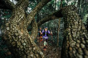 BIB: 
                            <button type="button" onclick="openModal(25392885)" class="btn btn-primary btn-sm float-right btn-popup" data-toggle="modal" data-target=".modal-high-quality">
                        <i class="fas fa-shopping-cart"></i> Add to Cart
                    </button>
                                            <button type="button" onclick="isThisMe(25392885, true)" class="btn btn-success btn-sm float-right btn-popup btn-isme hidden" data-toggle="tooltip" data-placement="bottom" title="นี่คือรูปของคุณใช่ไหม คลิกที่นี่เพื่อเอาเข้าอัลบั้ม">
                        <i class="fas fa-plus"></i> Add to album
                    </button>
                    <button type="button" onclick="isThisMe(25392885, false)" class="btn btn-warning btn-sm float-right btn-popup btn-isnotme hidden">
                        <i class="fas fa-ban"></i> Remove from album
                    </button>